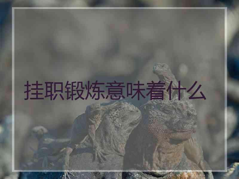 挂职锻炼意味着什么