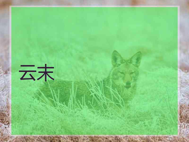 云末