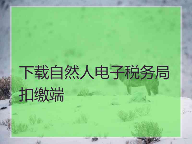 下载自然人电子税务局扣缴端