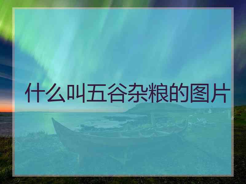 什么叫五谷杂粮的图片