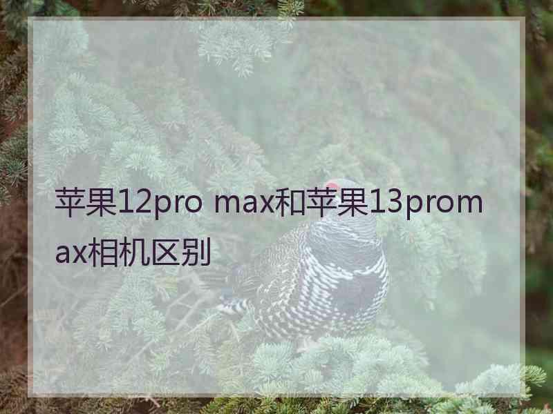苹果12pro max和苹果13promax相机区别