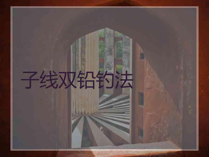 子线双铅钓法