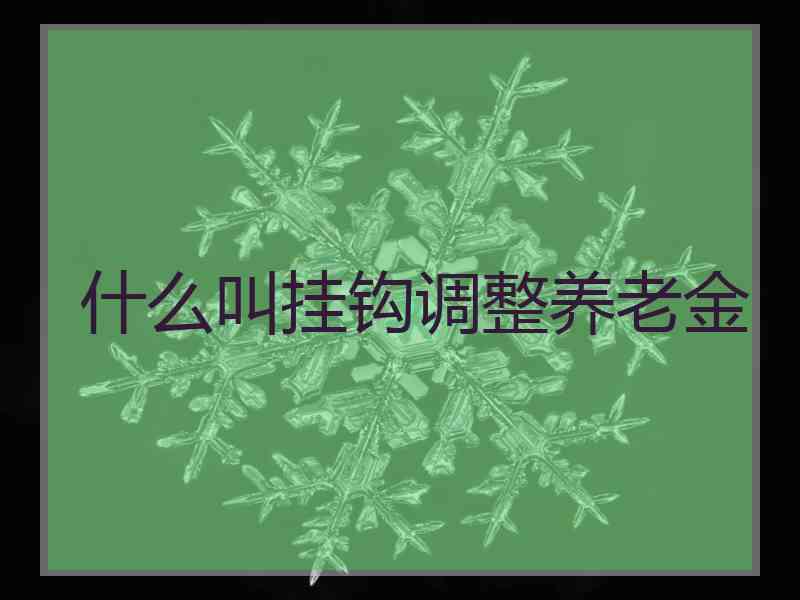 什么叫挂钩调整养老金