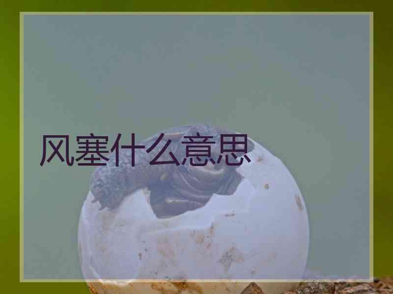 风塞什么意思