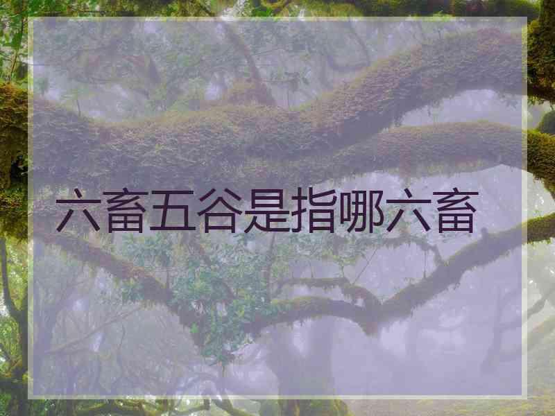 六畜五谷是指哪六畜