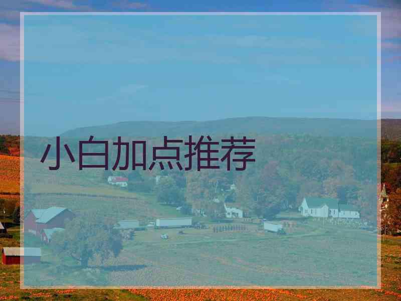 小白加点推荐