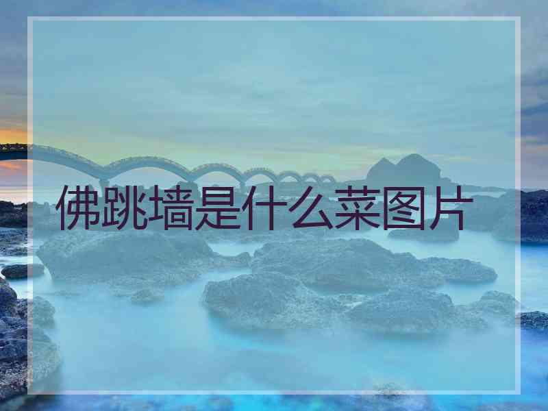 佛跳墙是什么菜图片