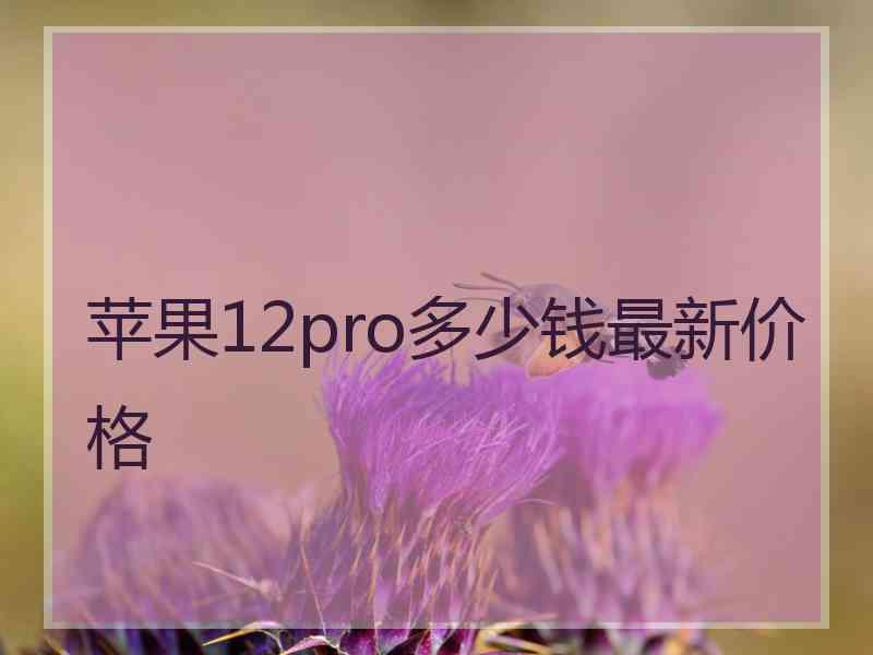 苹果12pro多少钱最新价格