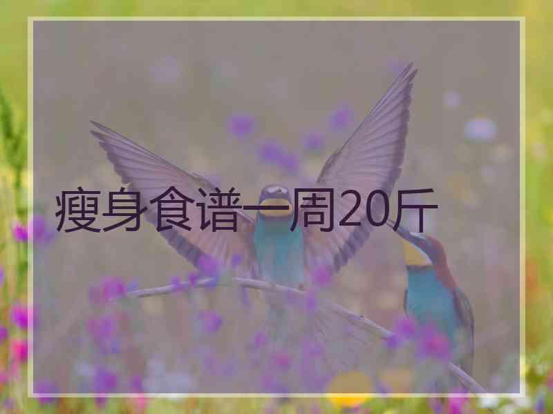 瘦身食谱一周20斤
