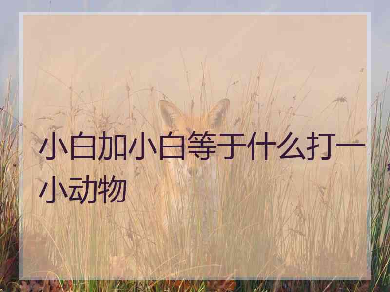 小白加小白等于什么打一小动物
