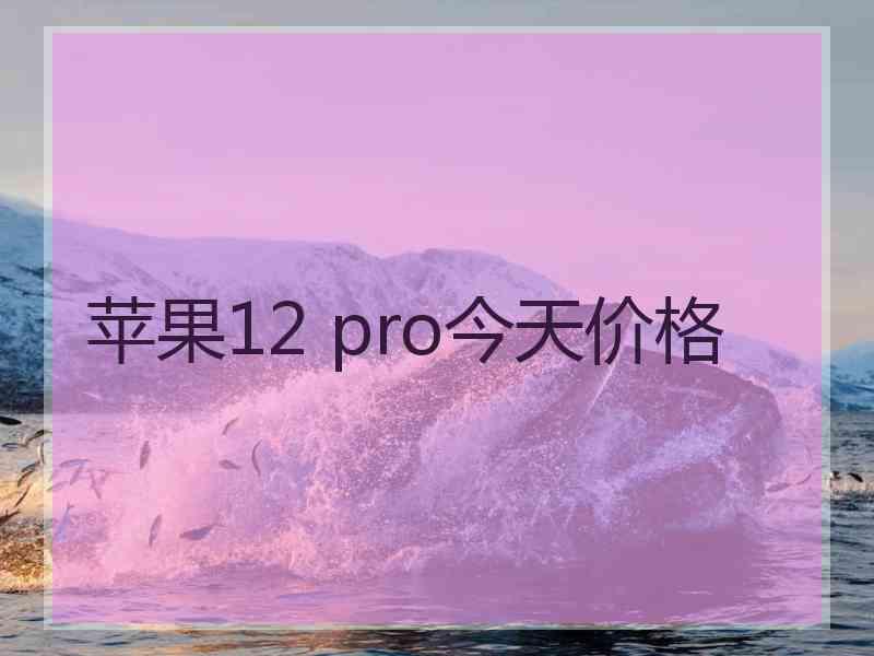 苹果12 pro今天价格