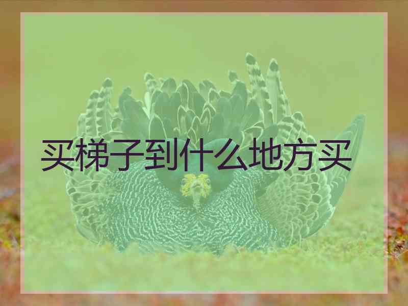 买梯子到什么地方买