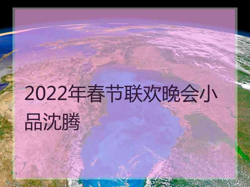 2022年春节联欢晚会小品沈腾
