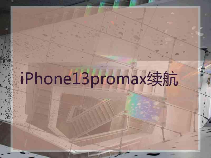 iPhone13promax续航