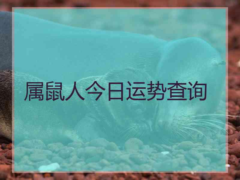 属鼠人今日运势查询
