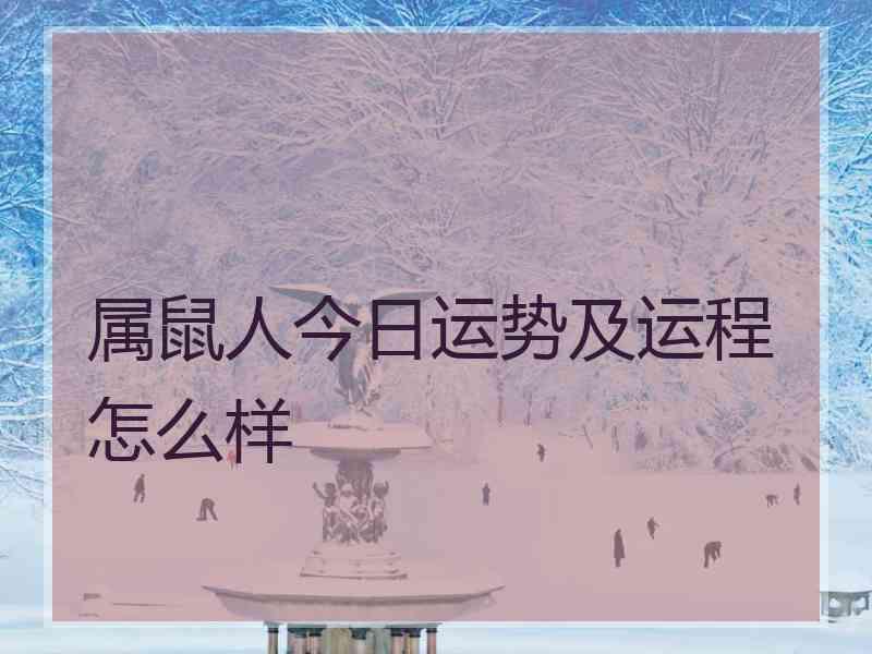 属鼠人今日运势及运程怎么样