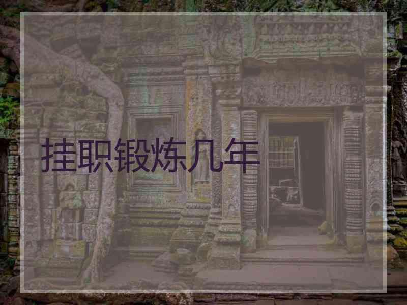 挂职锻炼几年