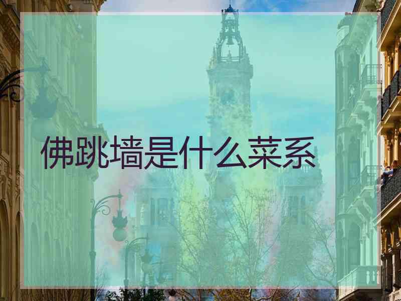 佛跳墙是什么菜系