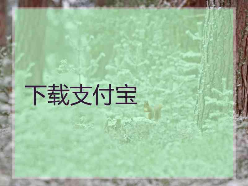 下载支付宝
