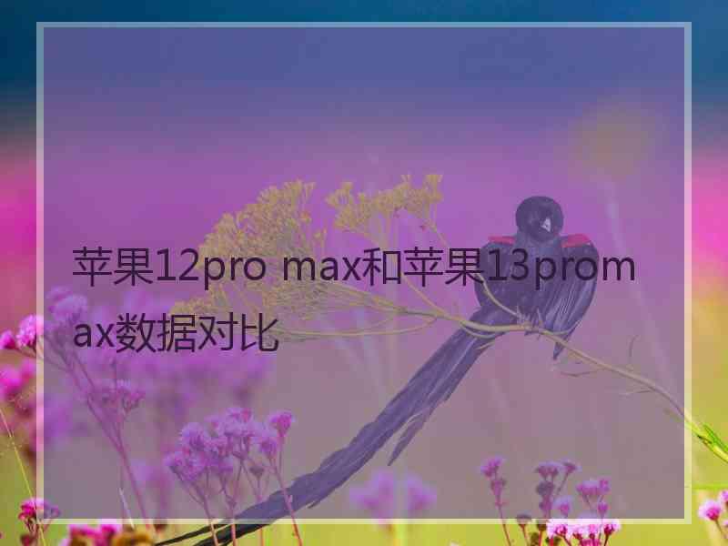 苹果12pro max和苹果13promax数据对比