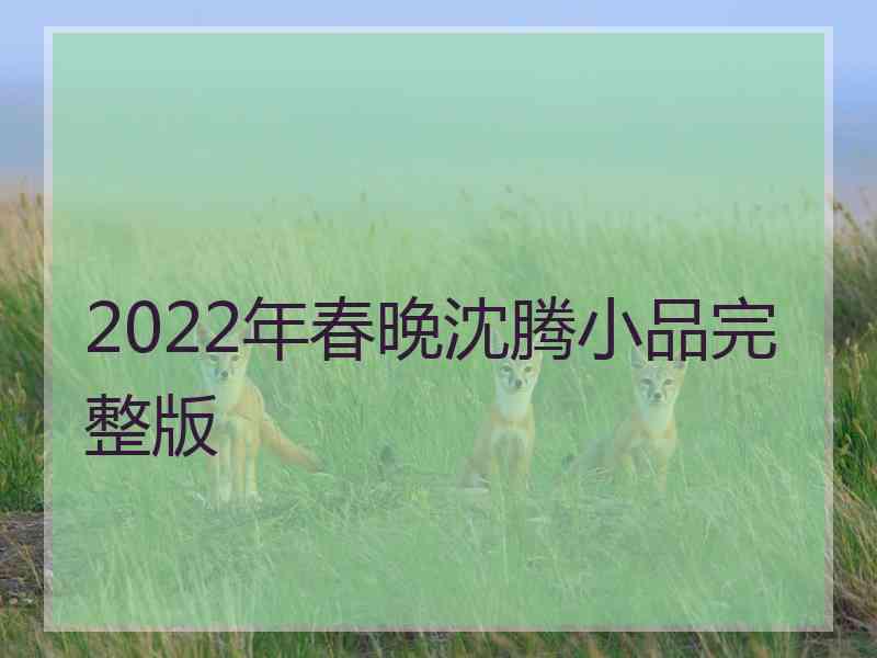 2022年春晚沈腾小品完整版