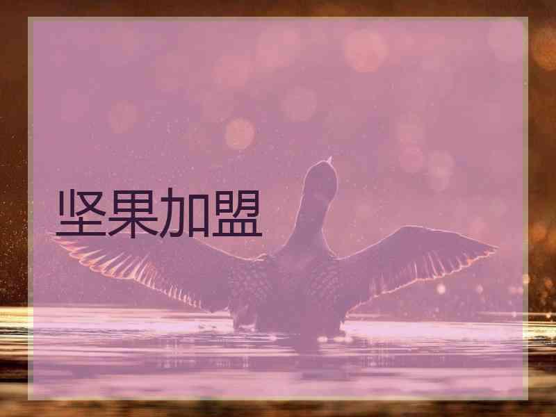 坚果加盟