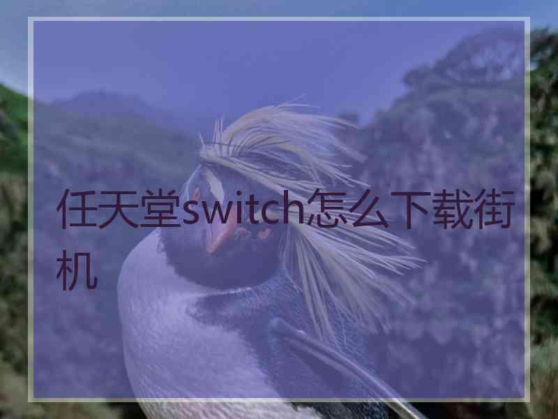 任天堂switch怎么下载街机
