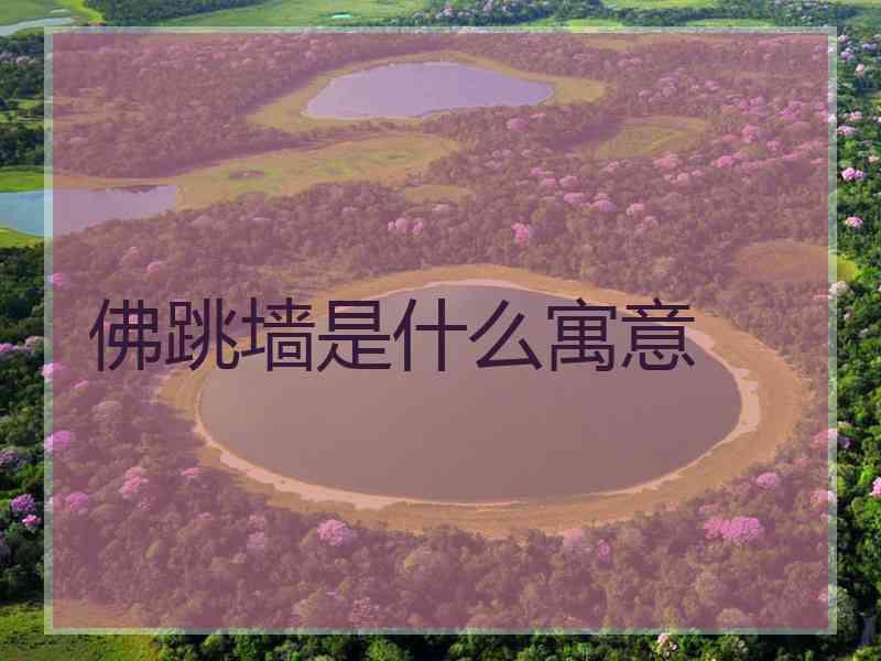 佛跳墙是什么寓意
