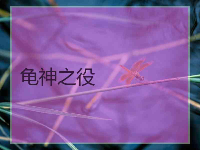 龟神之役