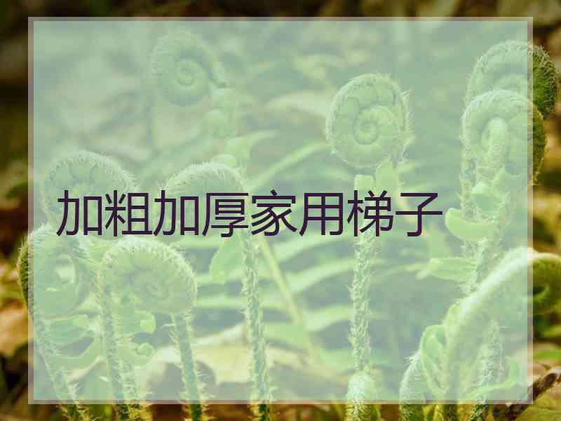 加粗加厚家用梯子