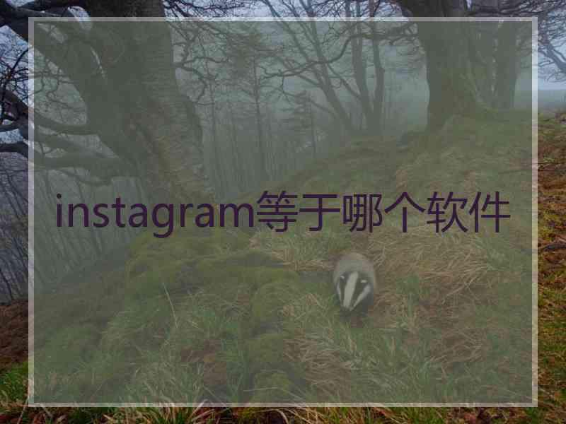 instagram等于哪个软件