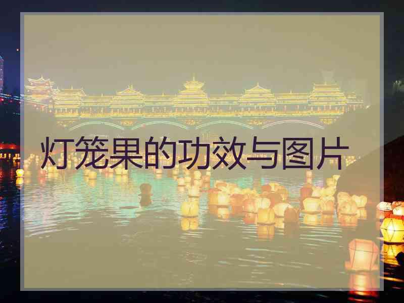 灯笼果的功效与图片