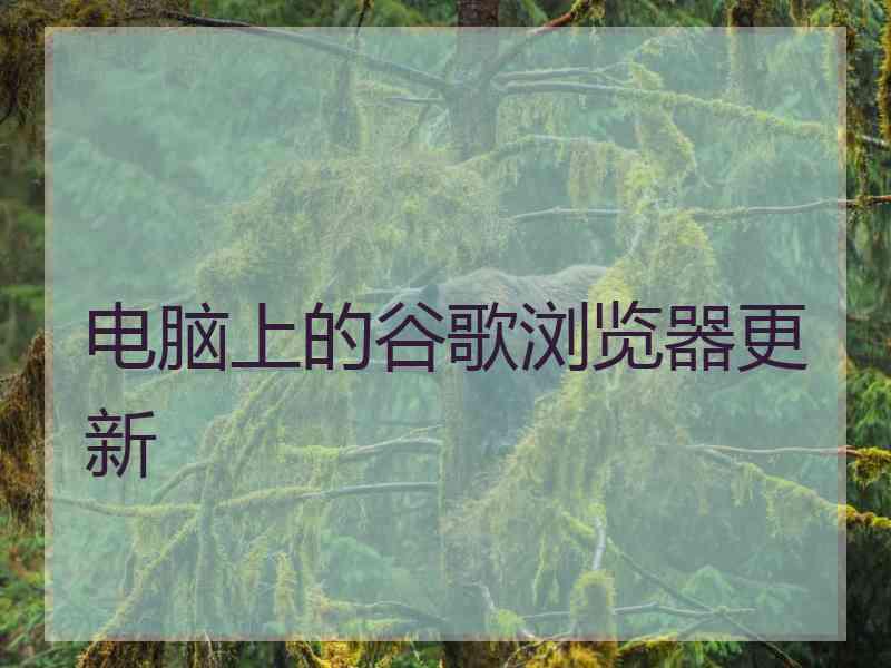 电脑上的谷歌浏览器更新