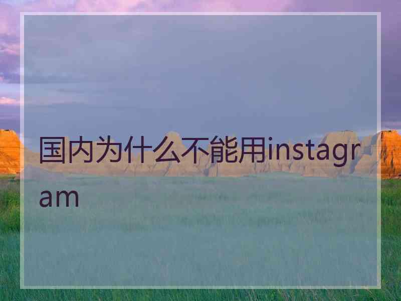 国内为什么不能用instagram