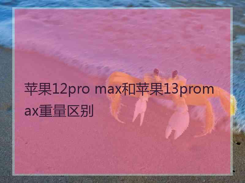 苹果12pro max和苹果13promax重量区别