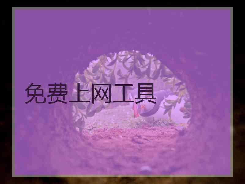 免费上网工具