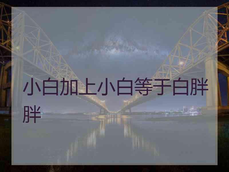 小白加上小白等于白胖胖