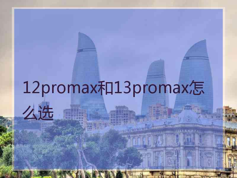 12promax和13promax怎么选