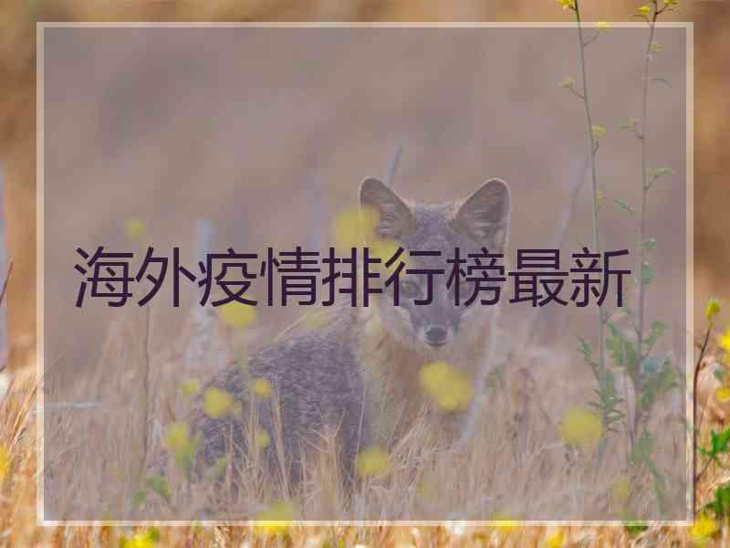 海外疫情排行榜最新