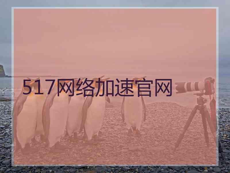 517网络加速官网