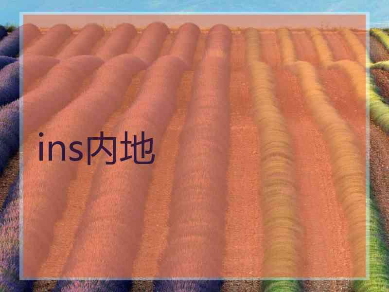 ins内地