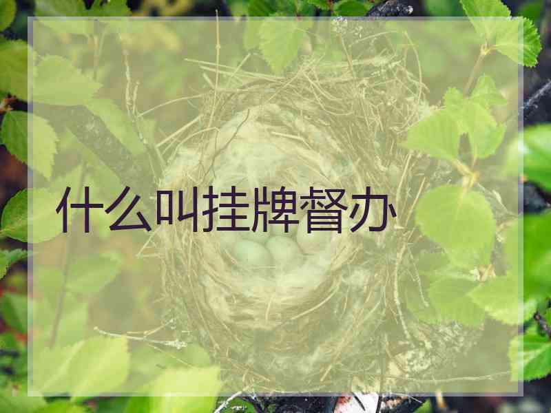 什么叫挂牌督办