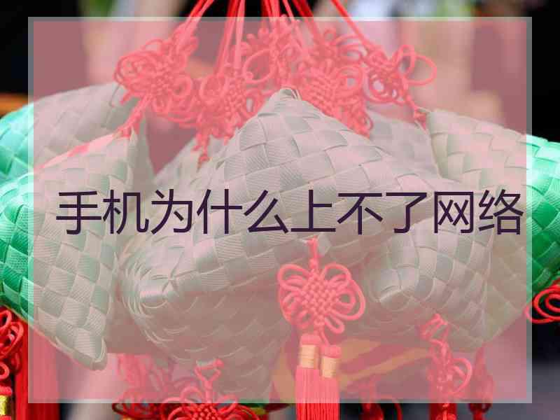 手机为什么上不了网络