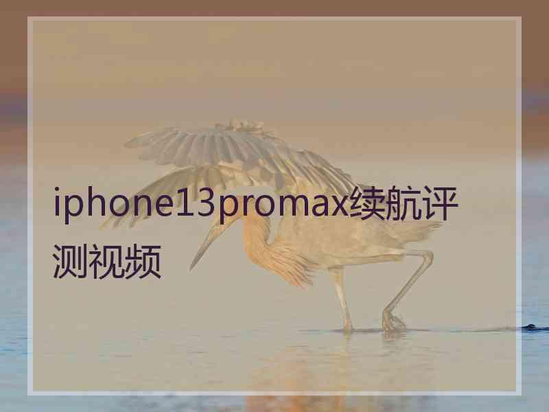 iphone13promax续航评测视频
