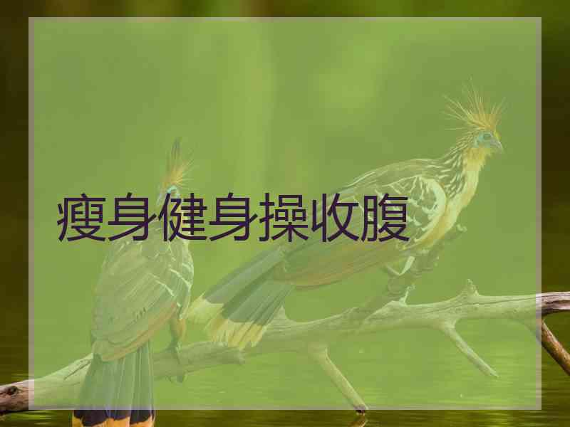 瘦身健身操收腹