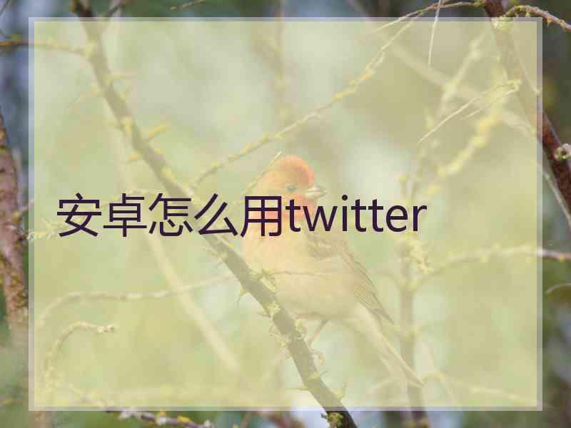 安卓怎么用twitter