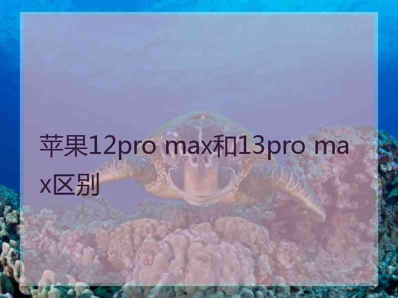 苹果12pro max和13pro max区别