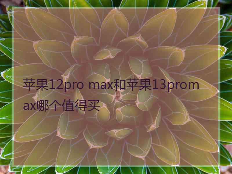 苹果12pro max和苹果13promax哪个值得买