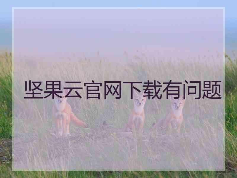 坚果云官网下载有问题
