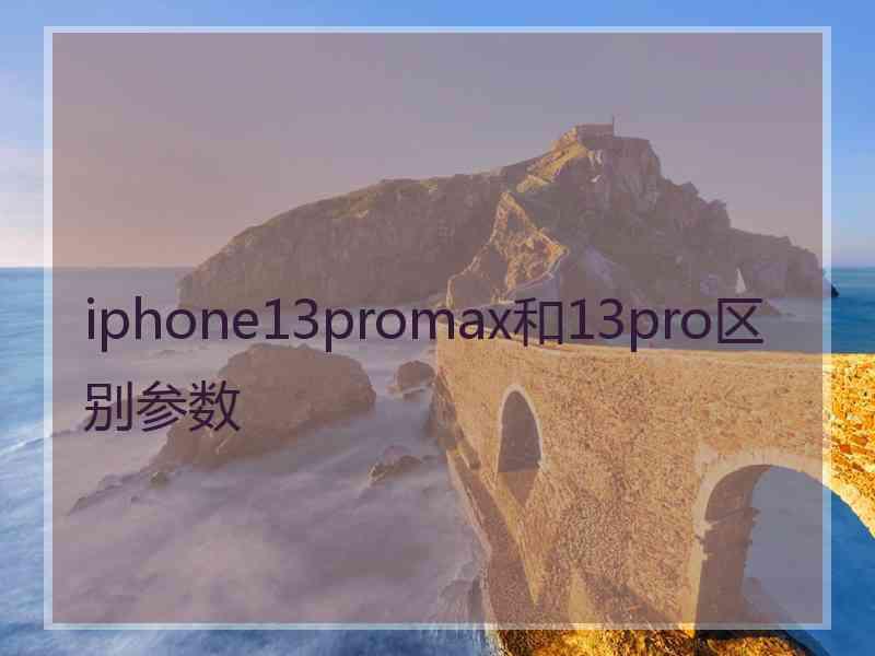 iphone13promax和13pro区别参数